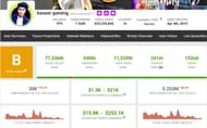 Baseer Gaming's estimated monthly income (Image via Social Blade)